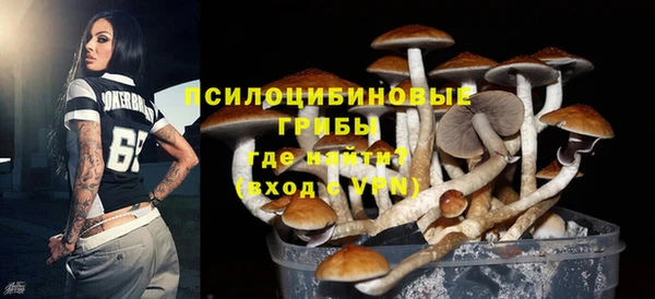 кокс Баксан