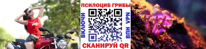 наркота  Дзержинск  Псилоцибиновые грибы Magic Shrooms 